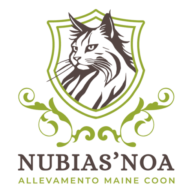 logo allevamento felino di gatti maine coon realizzato da felis design