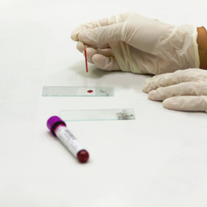 profilassi vaccinali per gattini maine coon ceduti da allevamento mubias noa