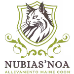 Nubias'Noa